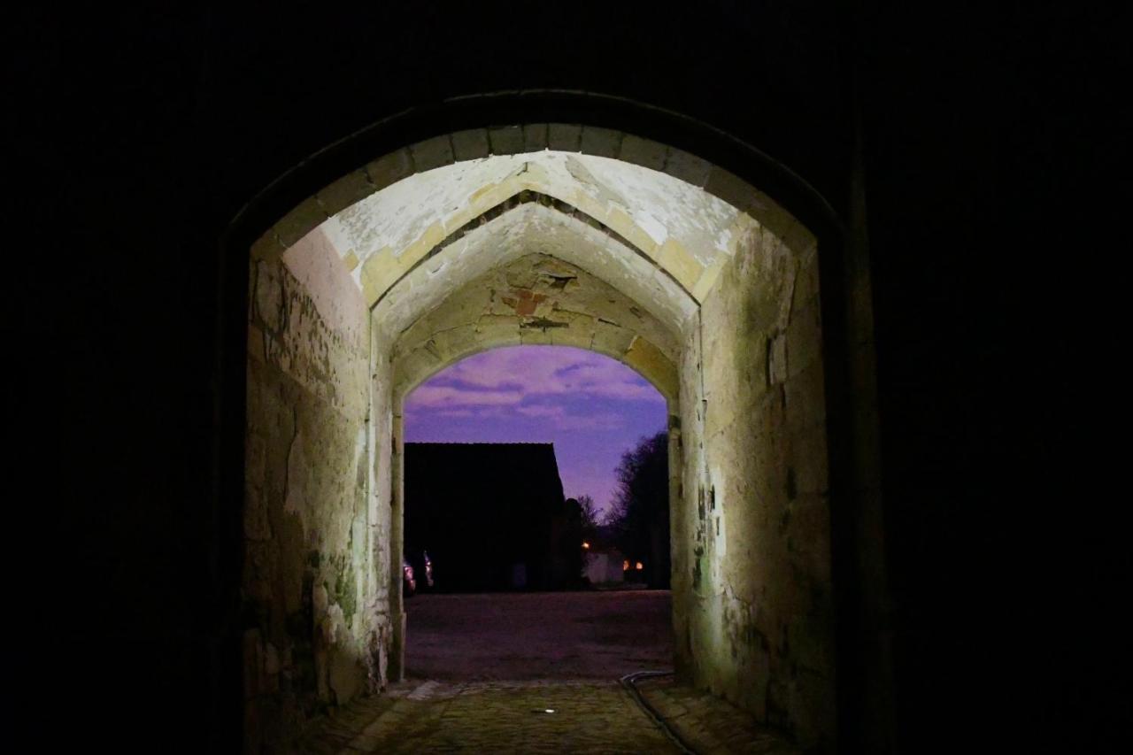 Un Chateau En Bourgogne Saincaize-Meauce Εξωτερικό φωτογραφία