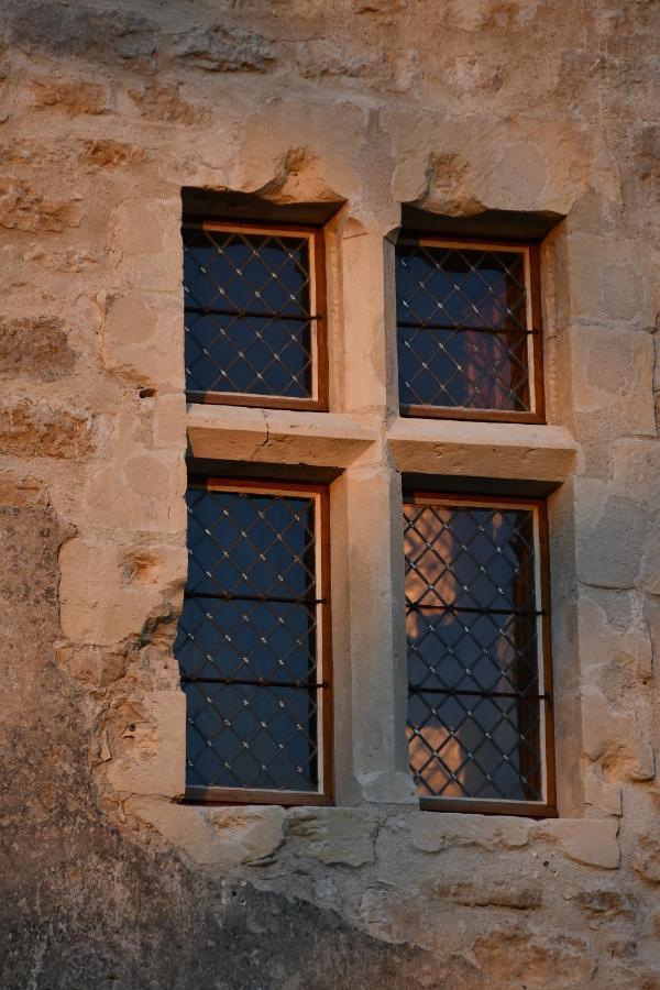 Un Chateau En Bourgogne Saincaize-Meauce Εξωτερικό φωτογραφία