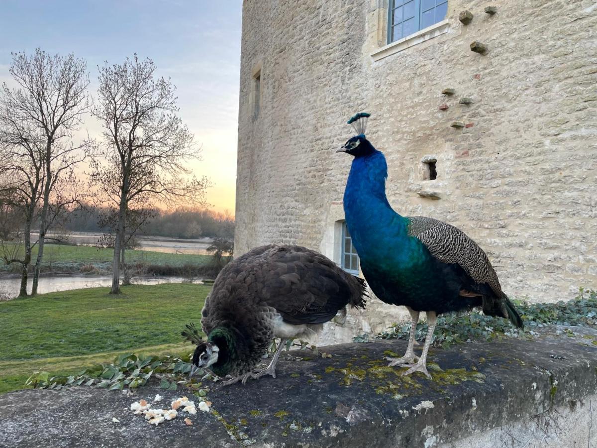 Un Chateau En Bourgogne Saincaize-Meauce Εξωτερικό φωτογραφία
